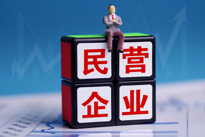 1740567572130786.jpg 民營企業(yè).jpg